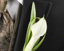 This boutonniere is simple, yet elegant with the calla lily. 